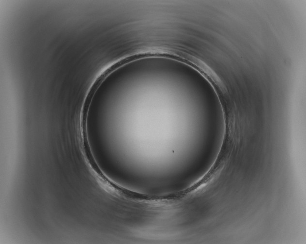 X0000112790988200908211110
