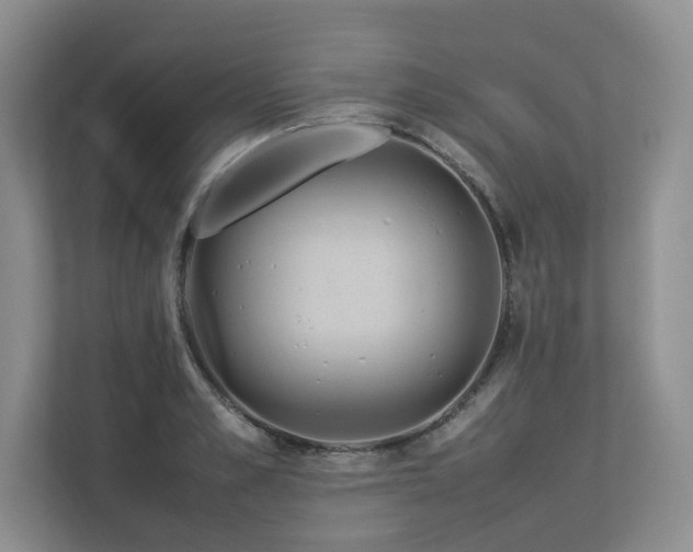 X0000112790989200908211110