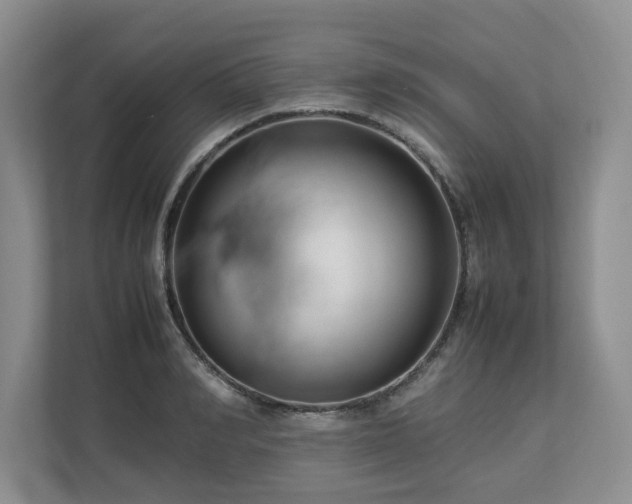 X0000112790990200908211110