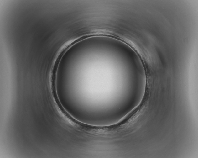 X0000112790995200908211110
