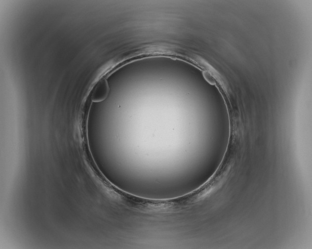 X0000112790997200908211110