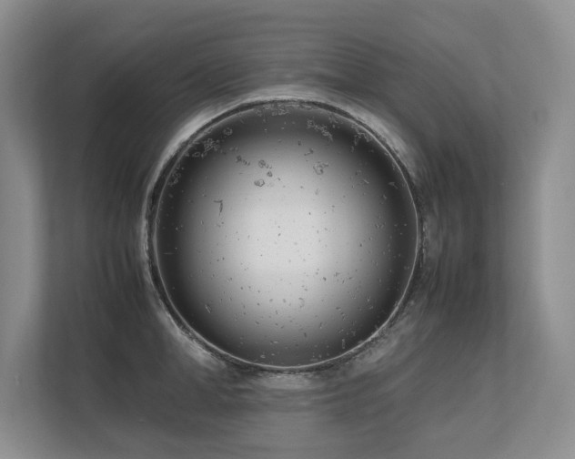 X0000112790998200908211110