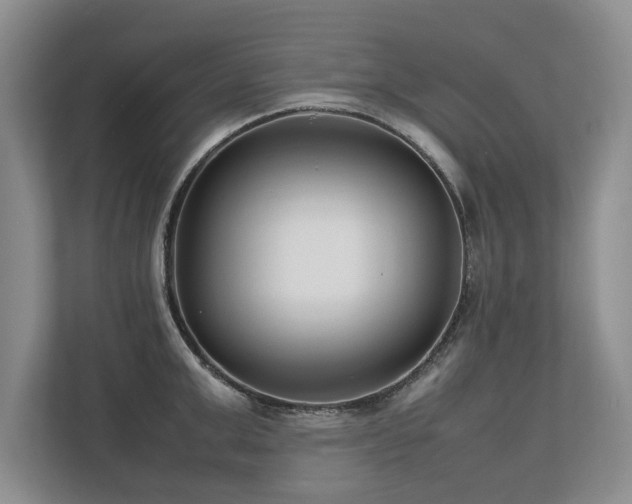 X0000112790999200908211110