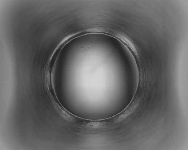 X0000112791000200908211110