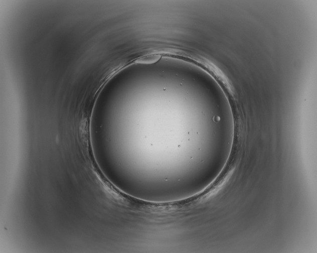 X0000112791001200908211110