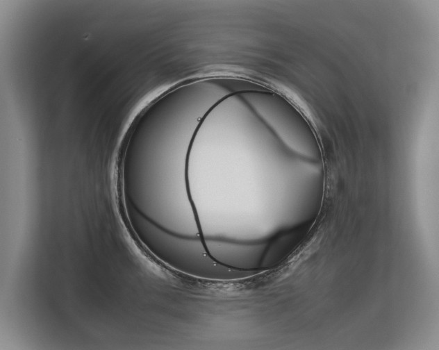 X0000112791003200908211110