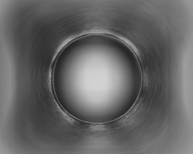 X0000112791006200908211110