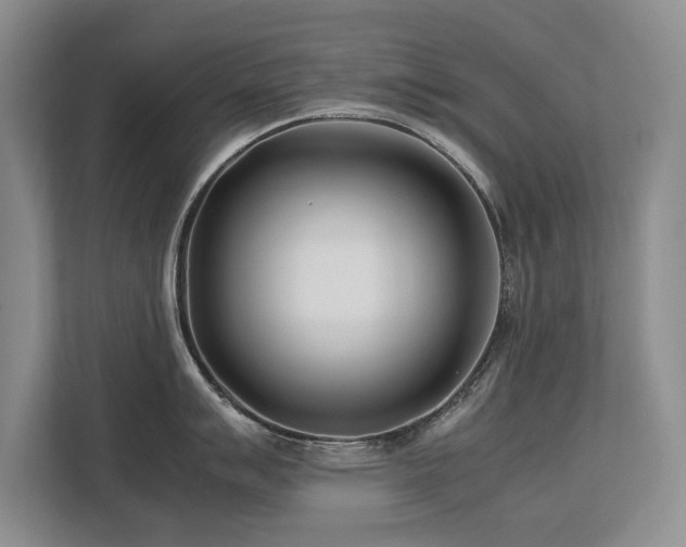 X0000112791007200908211109