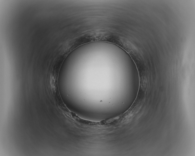 X0000112791010200908211109