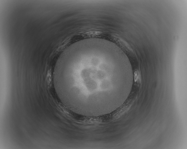 X0000112791011200908211109