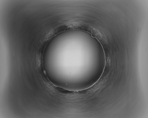 X0000112791012200908211109