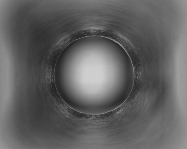 X0000112791014200908211109