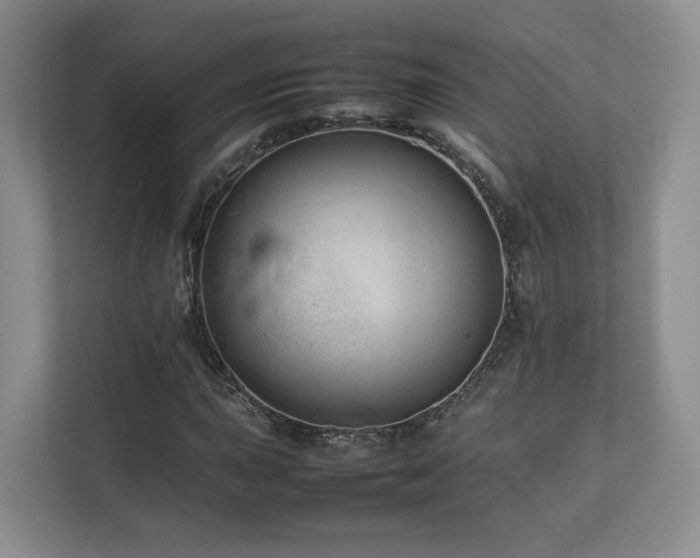 X0000112791015200908211109