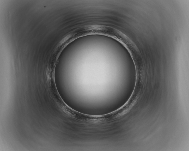 X0000112791017200908211109