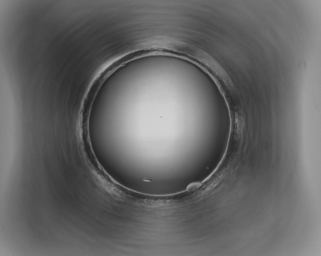 X0000112791020200908211109