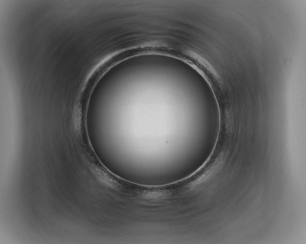 X0000112791021200908211109