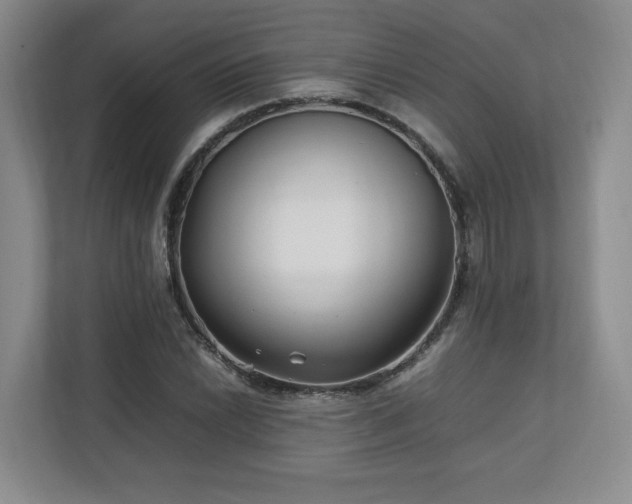 X0000112791022200908211109