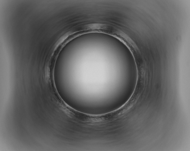 X0000112791023200908211109