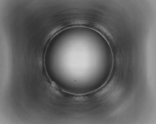 X0000112791025200908211109