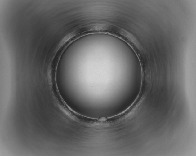 X0000112791026200908211109