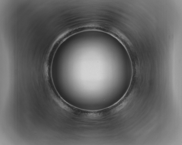 X0000112791029200908211109