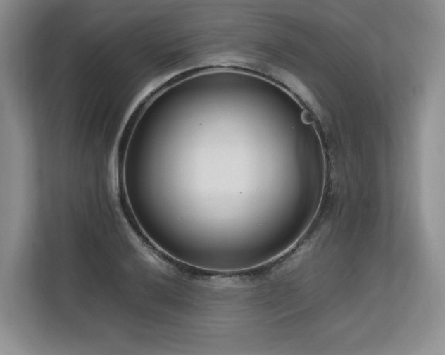 X0000112791032200908211109