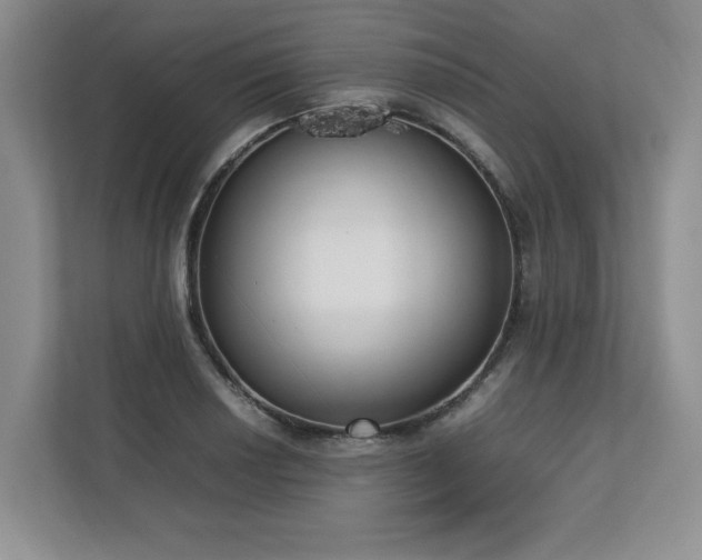 X0000112791034200908211109