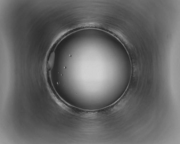 X0000112791038200908211109