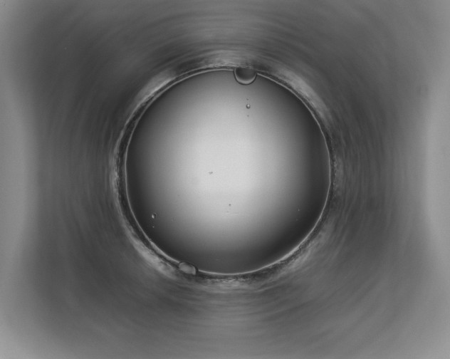X0000112791042200908211109