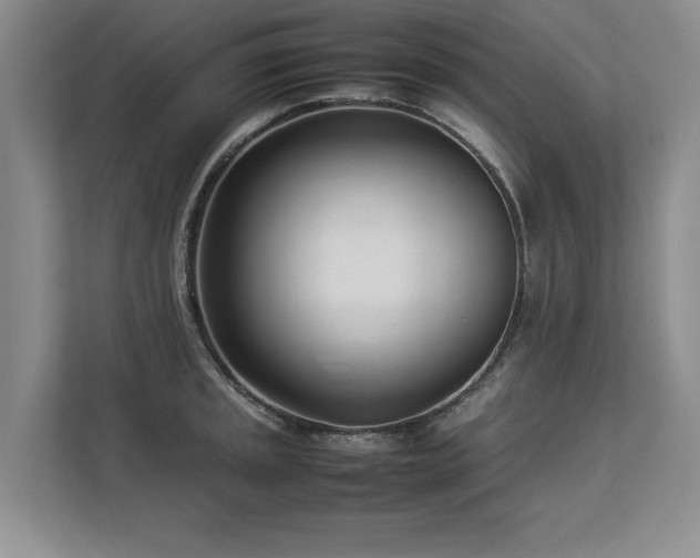 X0000112791045200908211109