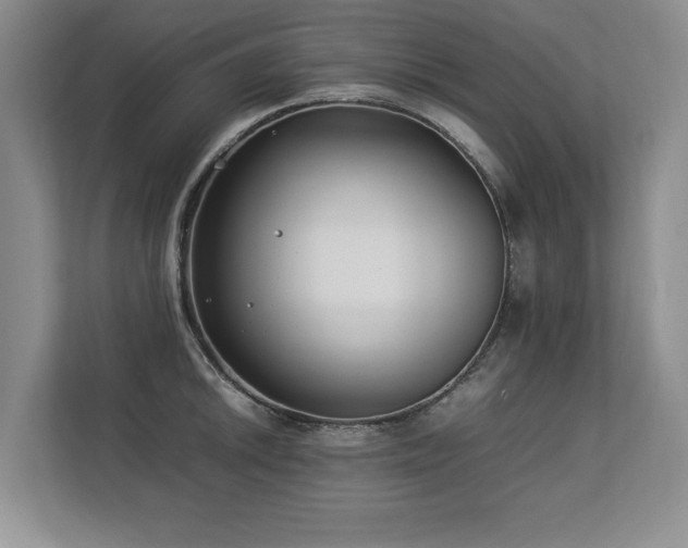 X0000112791046200908211109