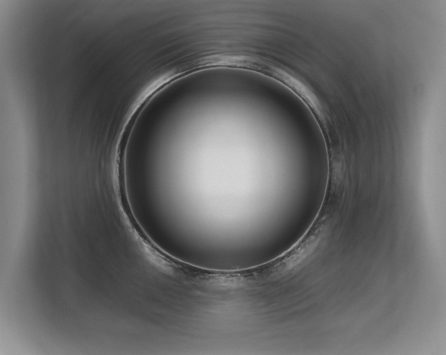 X0000112791050200908211109