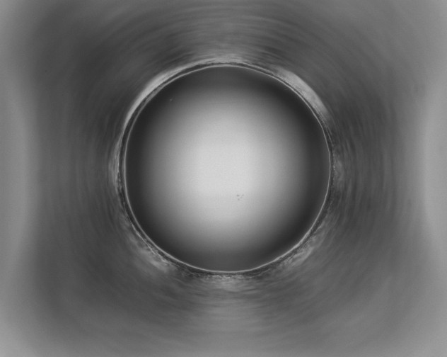 X0000112791052200908211109