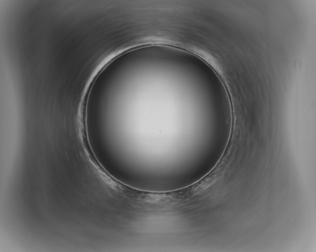 X0000112791056200908211109