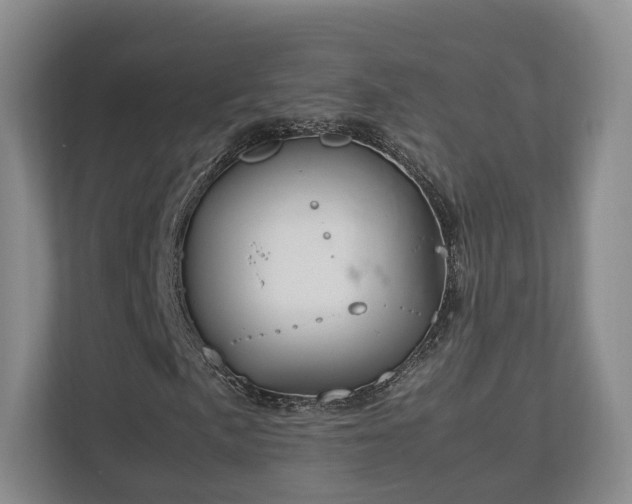 X0000112791057200908211109