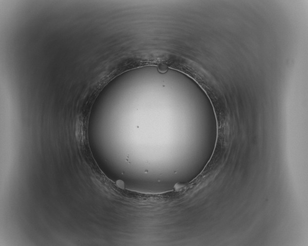 X0000112791058200908211109