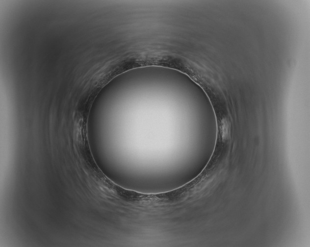 X0000112791059200908211109