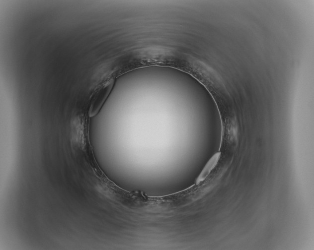 X0000112791060200908211109