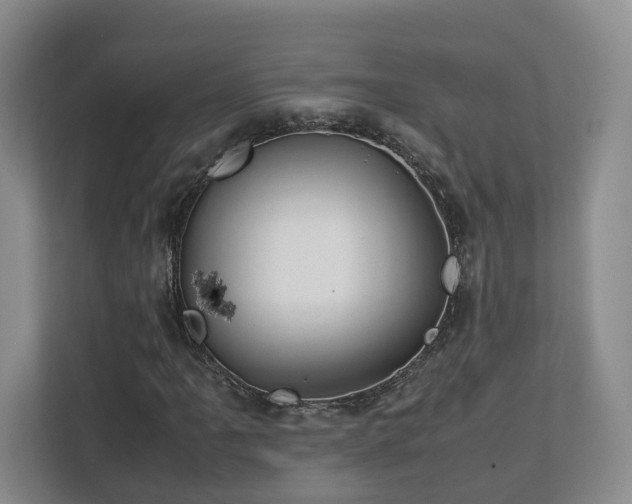 X0000112791061200908211109