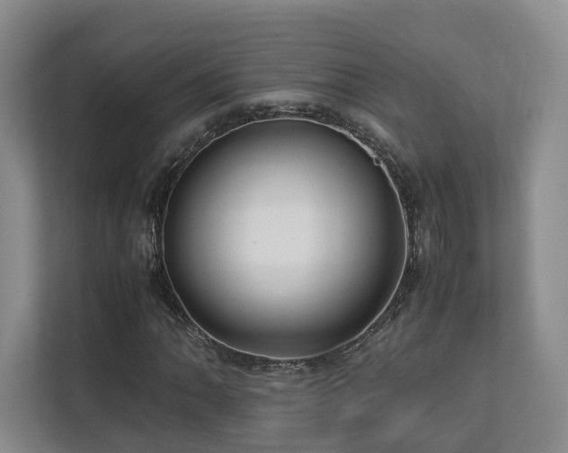 X0000112791062200908211109