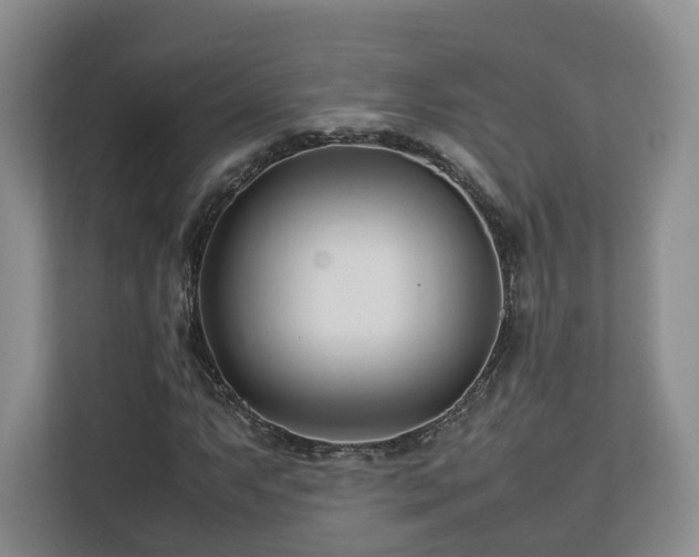 X0000112791063200908211109