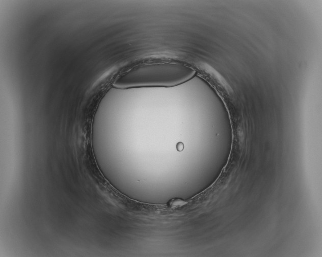 X0000112791064200908211109