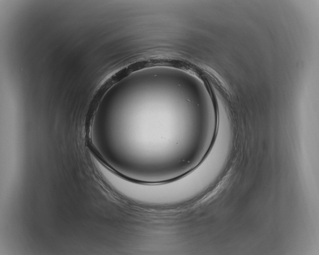 X0000112791065200908211109