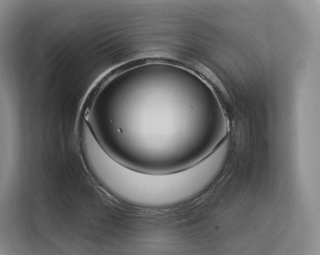 X0000112791068200908211109