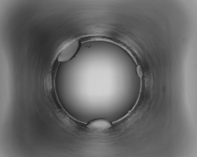 X0000112791069200908211109