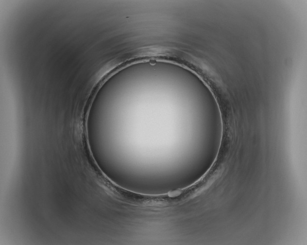 X0000112791073200908211109