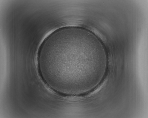 X0000112791077200908211109