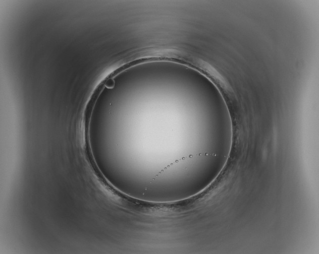 X0000112791079200908211109