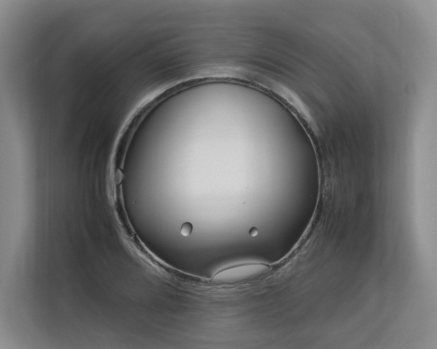 X0000112791080200908211109