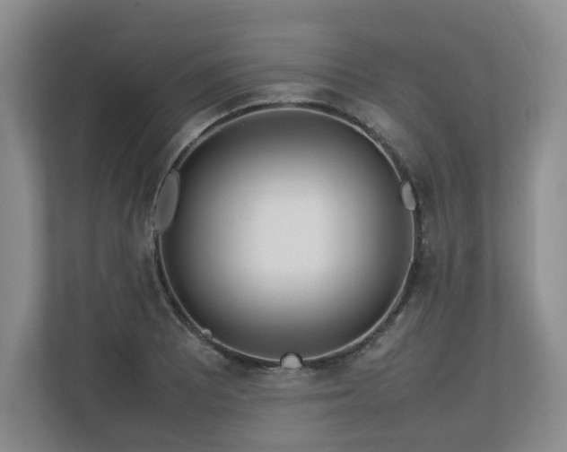 X0000112791081200908211109
